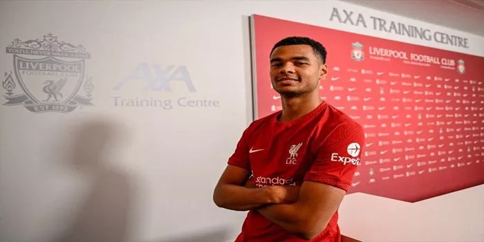 Cody Gakpo – Menguak Rahasia di Balik Performa Gemilang di Liverpool