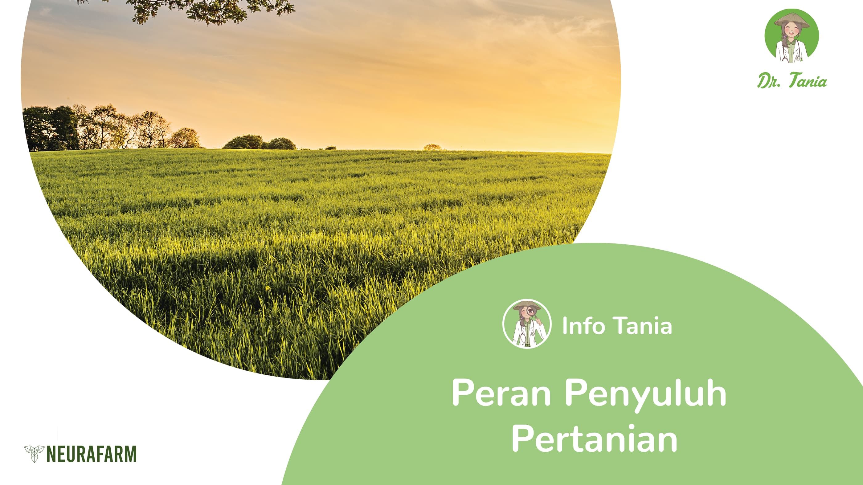 Peran Penyuluh Pertanian
