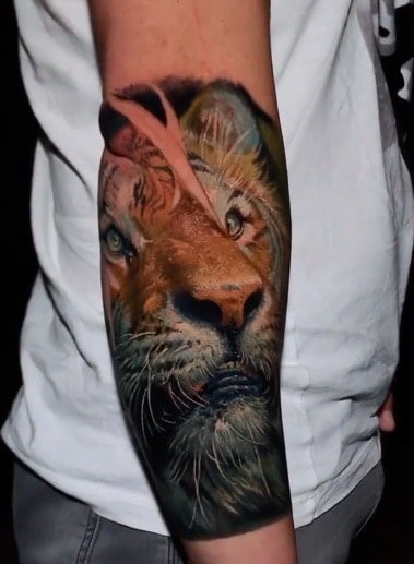 23 Animal Tattoo Artists You Need To Know 517_x_379_jpg