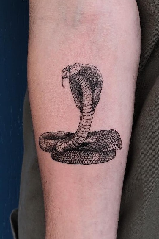What Does A Snake Tattoo Symbolize? 803_x_535_jpg