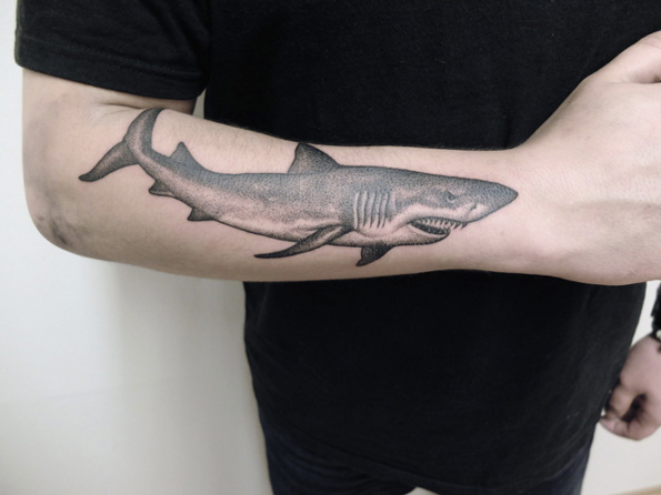 50 Fantastic Shark Tattoos That Are Better Than Shark Week - Tattooblend 446_x_595_jpg