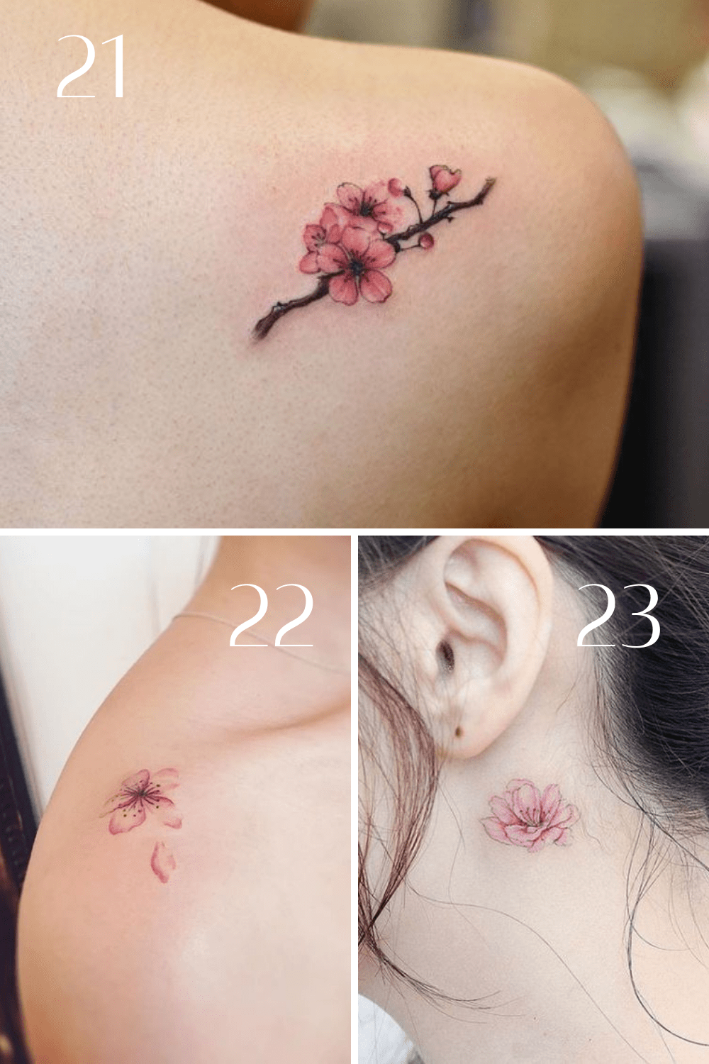 Cherry Blossom Tattoo Ideas {53 Beautiful Ideas} - Tattooglee 1500_x_1000_png