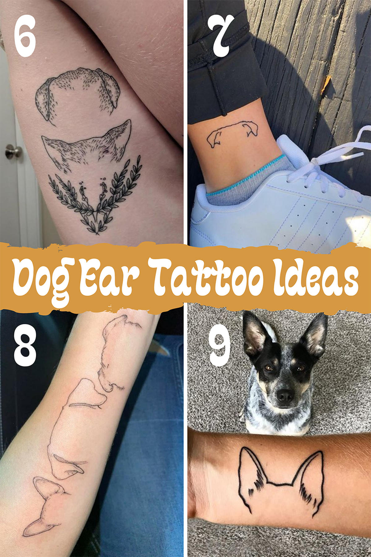 Outline Dog Ear Tattoo Designs For Minimalist Dog Lovers - Tattooglee 1800_x_1200_jpg