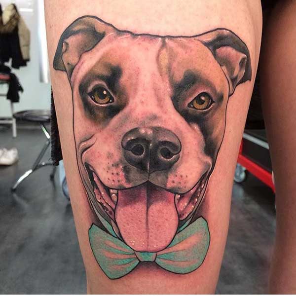 85+ Tatuagens Ferozes De Pitbull Masculinas E Femininas 600_x_600_jpg