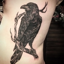 Raven Tattoos With Dark And Mysterious Meanings - Tattooswin 220_x_220_jpg