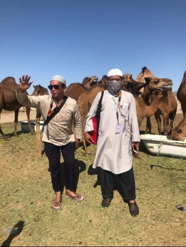 Sudahkah Anda Memperhatikan Manfaat Diciptakannya Hewan Unta? - PT. Tazkiyah Global Mandiri