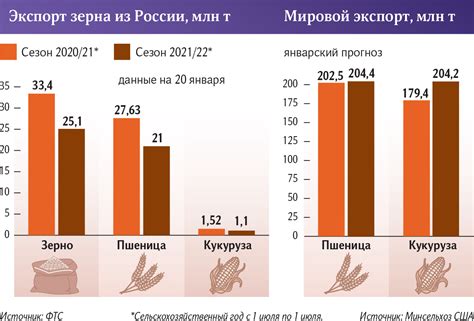 Объём экспорта зерна из Ростовской области увеличился на 15 процентов в 2024 году