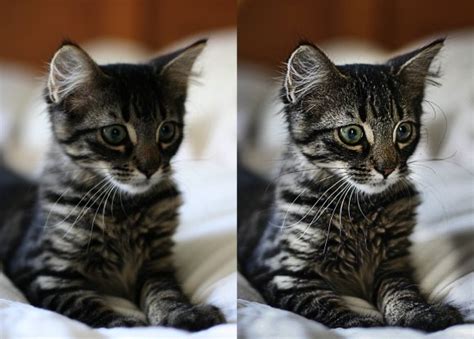 Как повысить точность перевода с помощью практических методов и техник