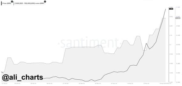 XRP Whale Activity - The Crypto Basic XRP Whale Activity