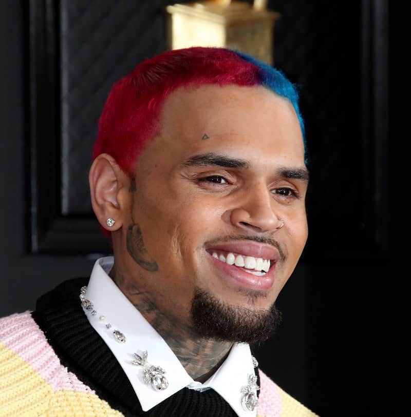 Chris Brown Adds Dog Tattoo To His Head | The Source 813_x_800_jpg