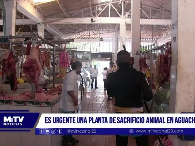 Es urgente una planta de sacrificio animal en Aguachica