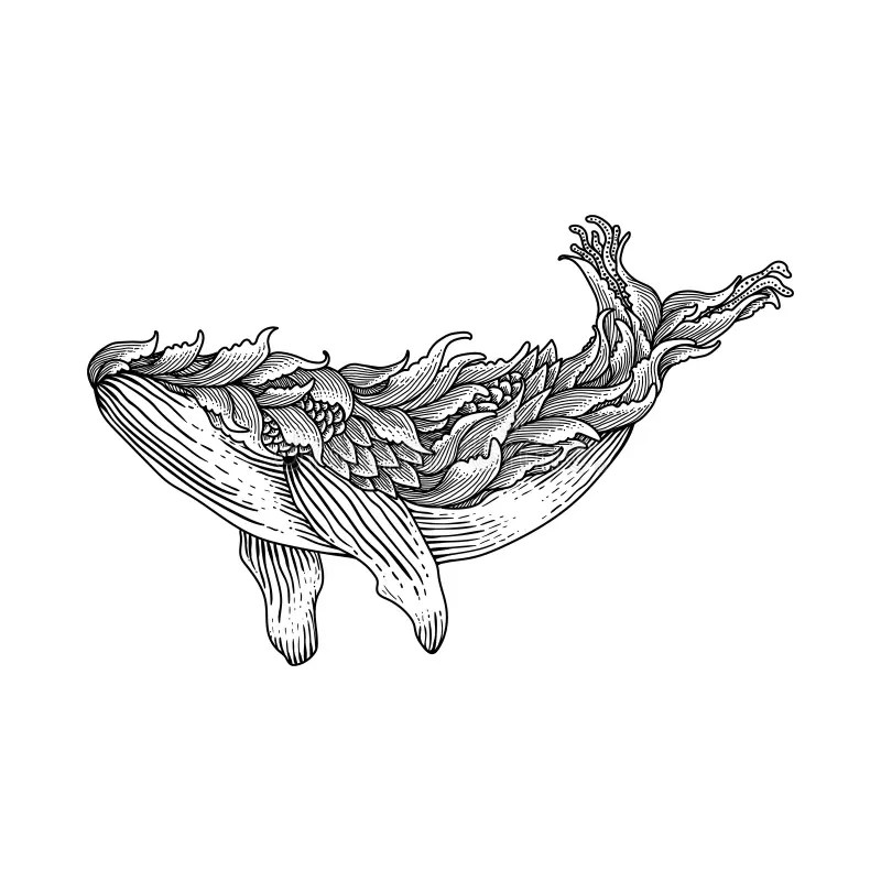 Hand Drawn Whale Engraving Style Stock Vector - Illustration Of Icon, Background: 226978419 800_x_800_jpg