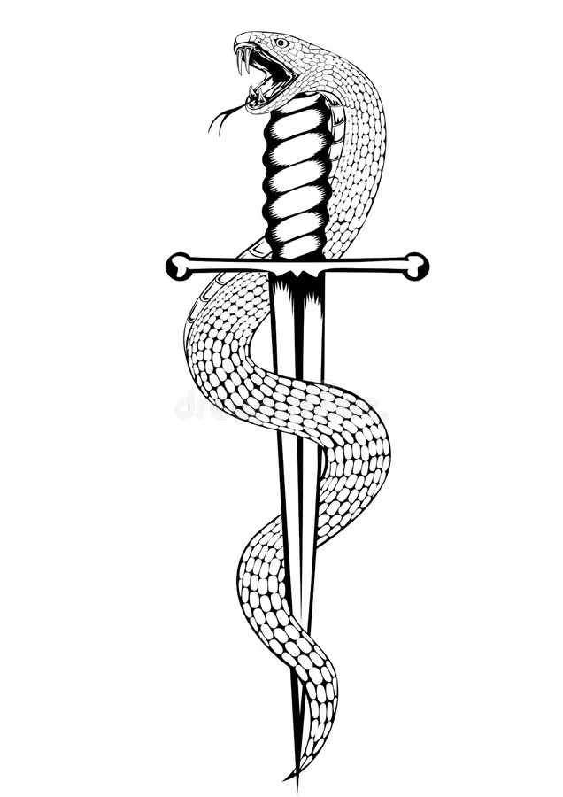 Snake And Dagger Stock Vector. Illustration Of Reptilian - 24712518 900_x_636_jpg