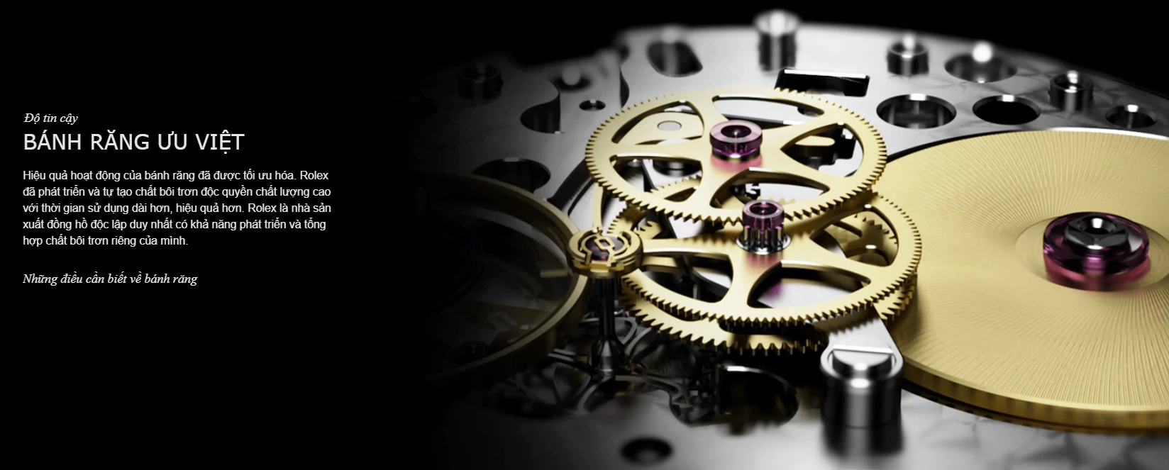 Tim Hiá»u Bá» May Calibre 3235 Cá»§a Thương Hiá»u Rolex