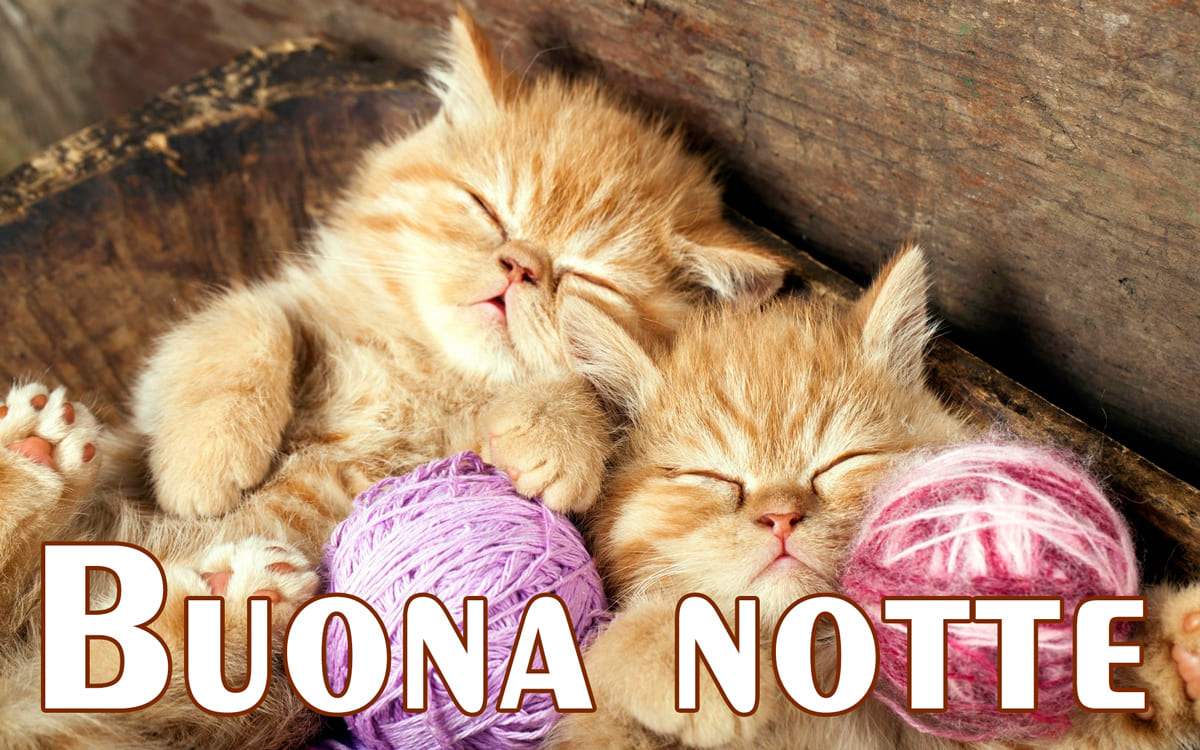 Nuove Immagini E Cartoline Con La Scritta Buona Notte 120 Belissime Foto Gratuite