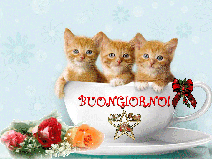 Fumante Buon Giorno Caffe Gif With Tenor Maker Of Gif Keyboard Add Popular Buongiorno Animated Gifs To Your Conversations Ducimus