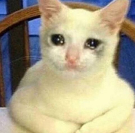 грустный кот картинки нарисованные