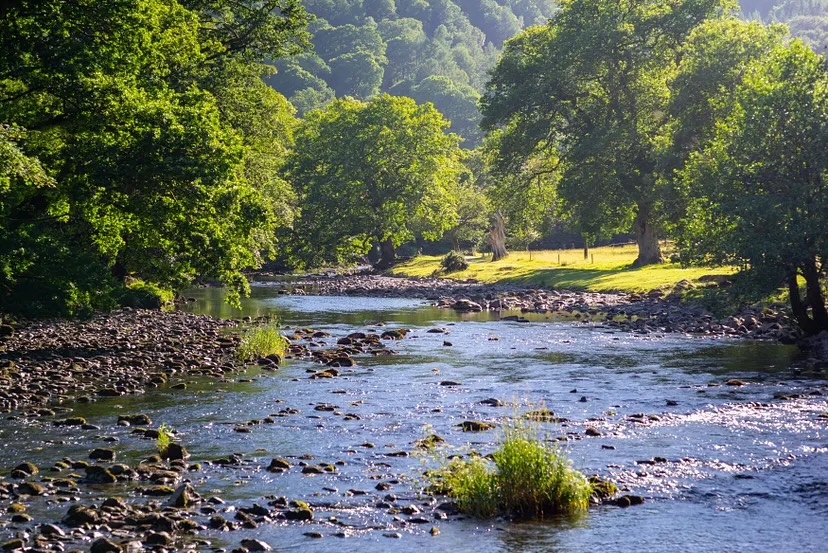 Optimizing Data Transfer in AI/ML Workloads Optimizing Data Transfer in AI/ML Workloads