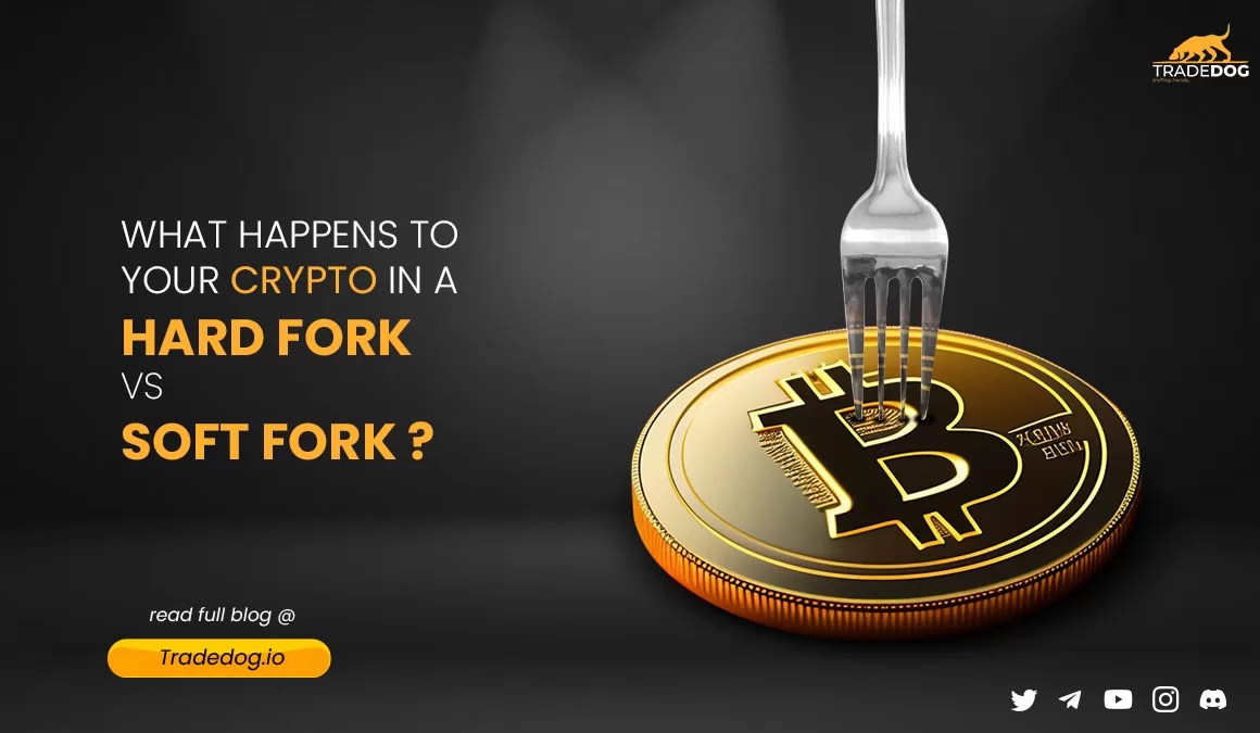 Understanding Forks In Blockchain: Soft Forks Vs. Hard Forks