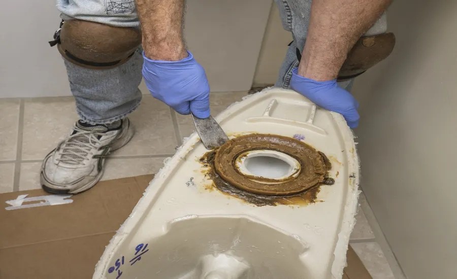 What Causes a Pink Ring in Your Toilet?
