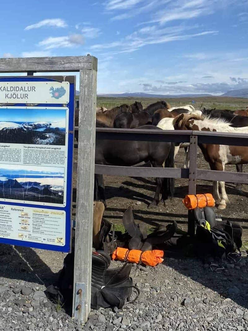 Icelandic Glaciers - Exploring Icelandic Glaciers: Your Guide to the Kjölur Route in the Southeast Highlands Horses waiting for their riders at Gullfoss, starting a ride over Kjölur Highland road