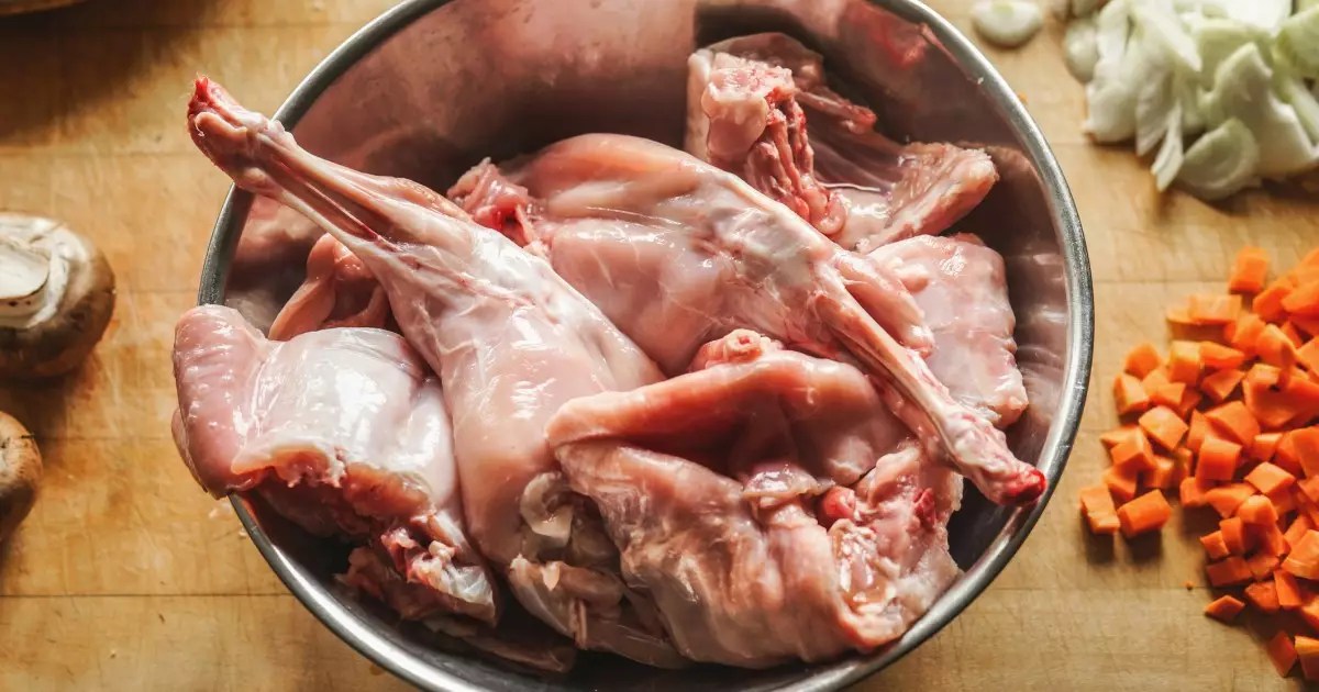 Rethinking Your Dog’s Diet: The Benefits of Introducing Rabbit Meat