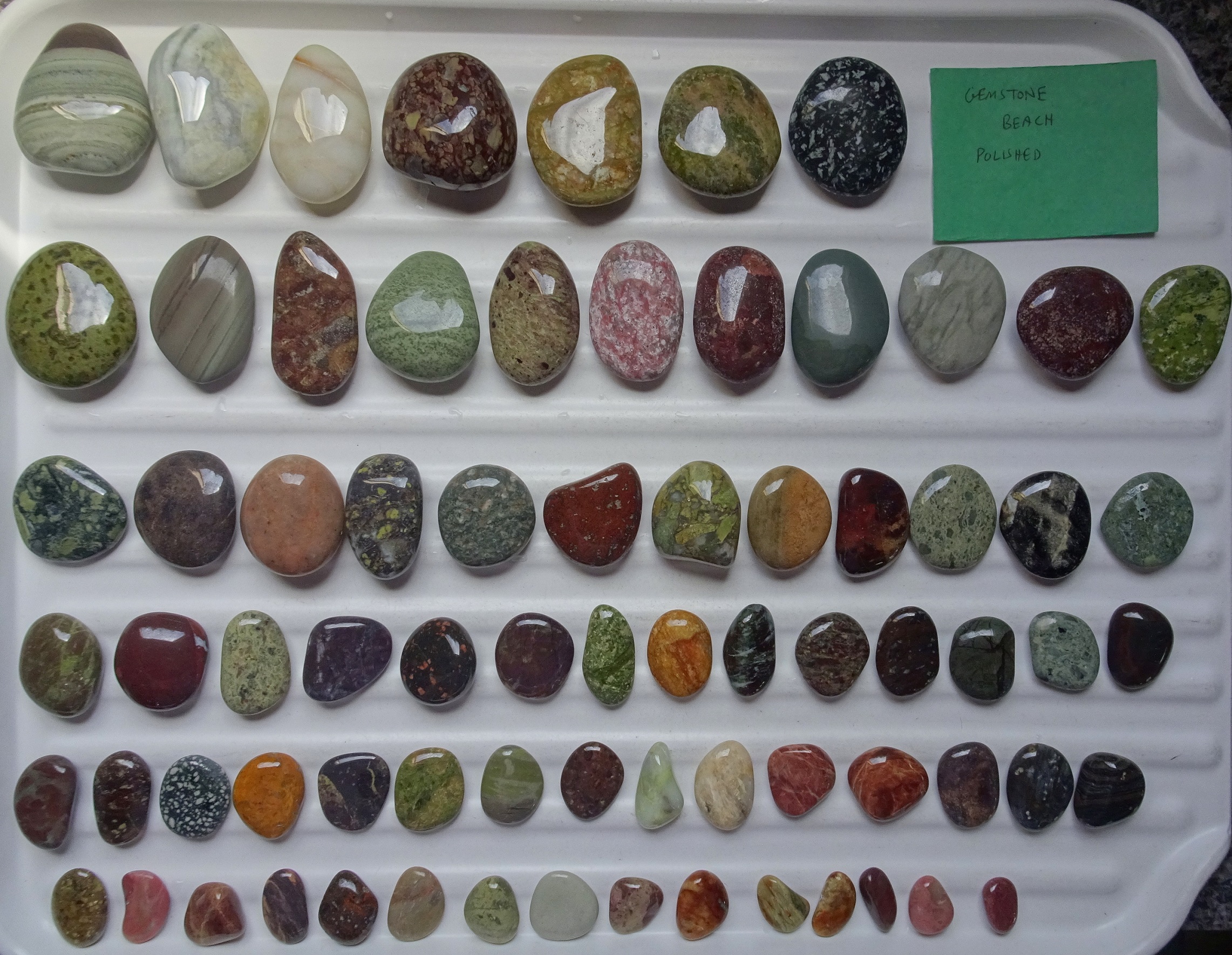 Beach stone identification chart nz