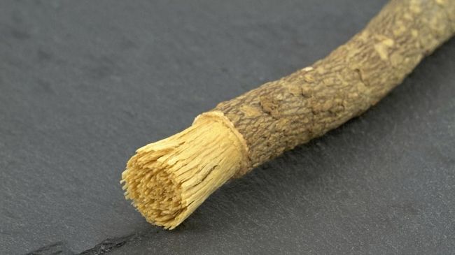 Siwak, Alat Tradisional dengan Beragam Kelebihan - Umroh.com