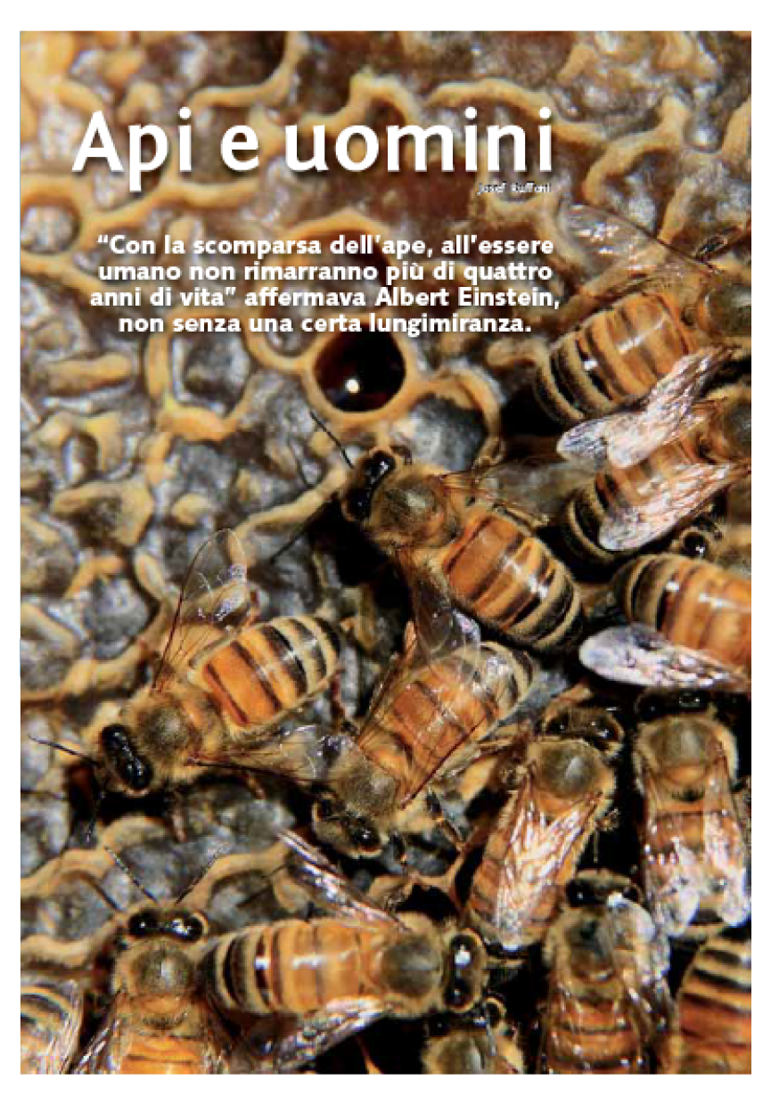 Apis Mellifera L Universo Alpino