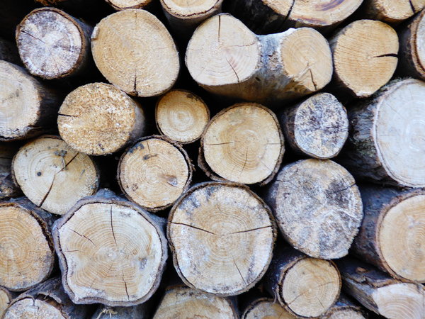 Holz - Ein Naturmaterial | Forum Im Seniorentreff 450_x_600_jpg