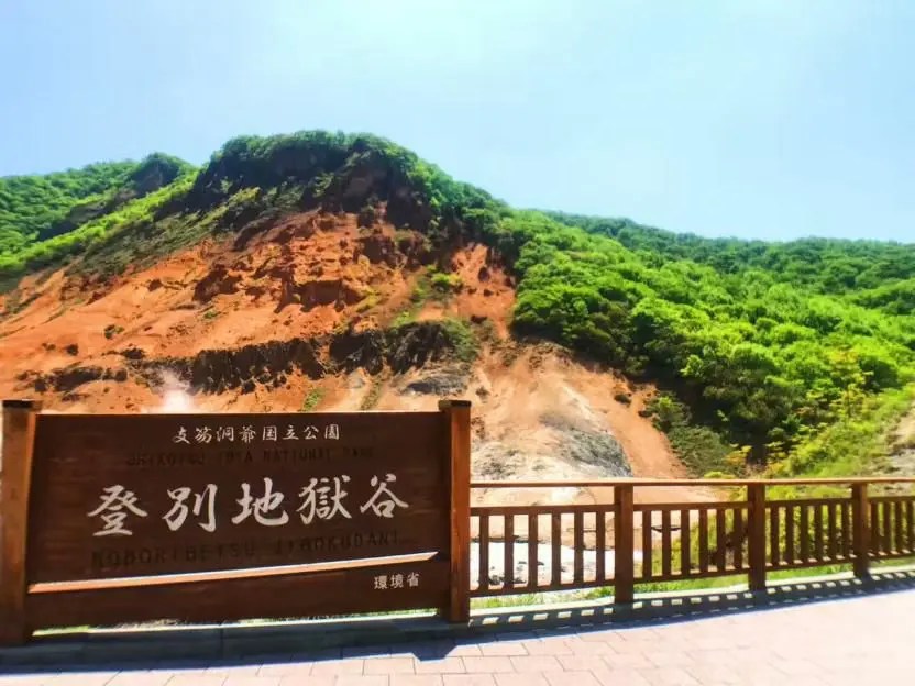 北海道的夏 在富良野的花田愛上你 芳網