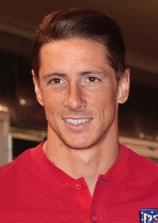 Fernando Torres - Wikipedia 452_x_329_jpg