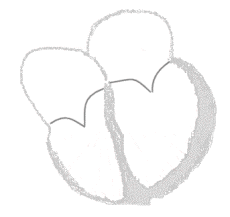 Kalp kırma sözleri