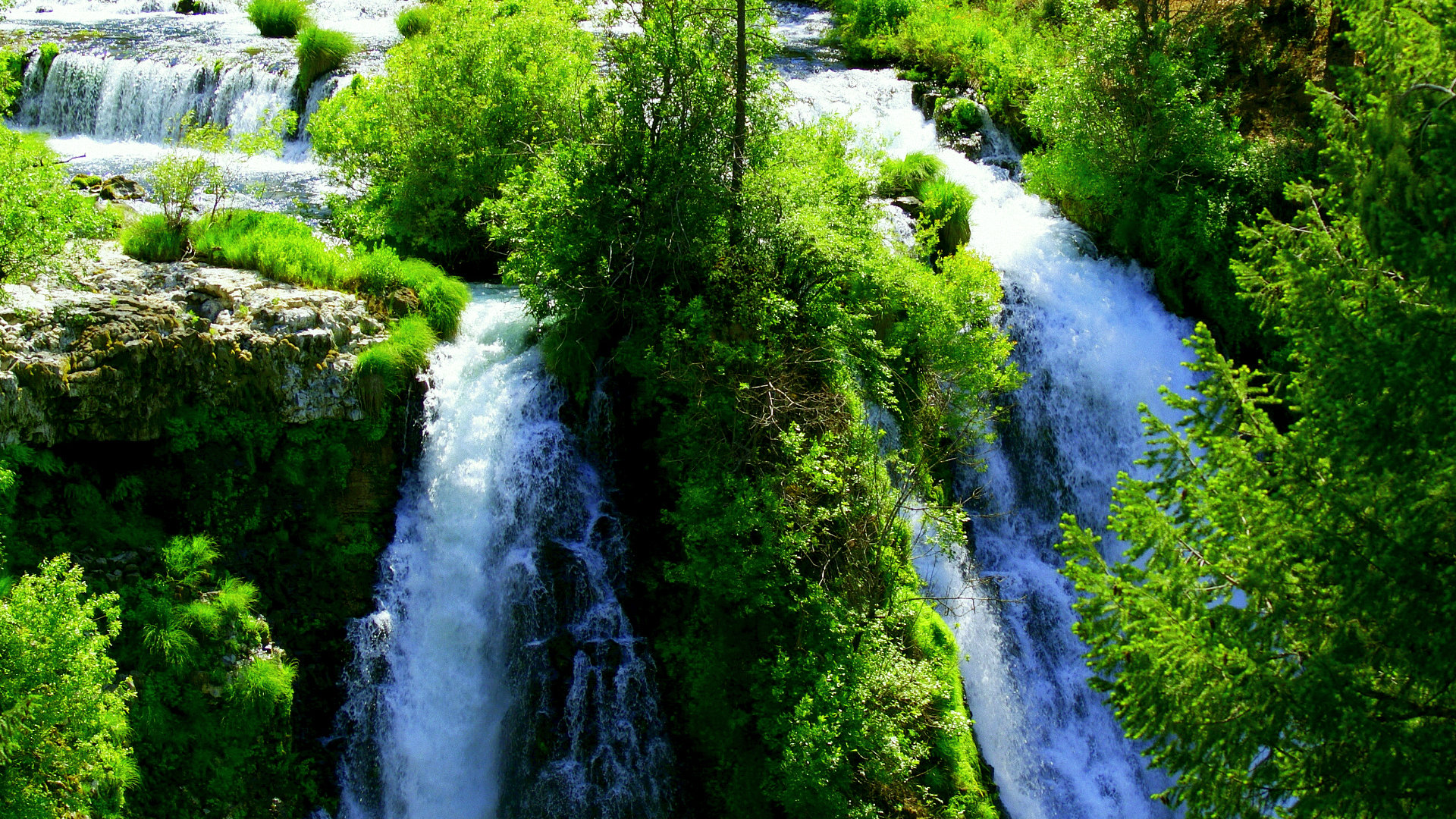 File Bosque De La Fe Jpg Wikimedia Commons