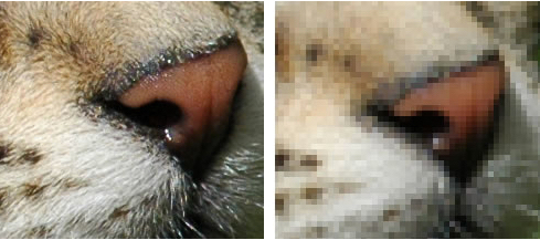 где рисуют на компьютере как называется