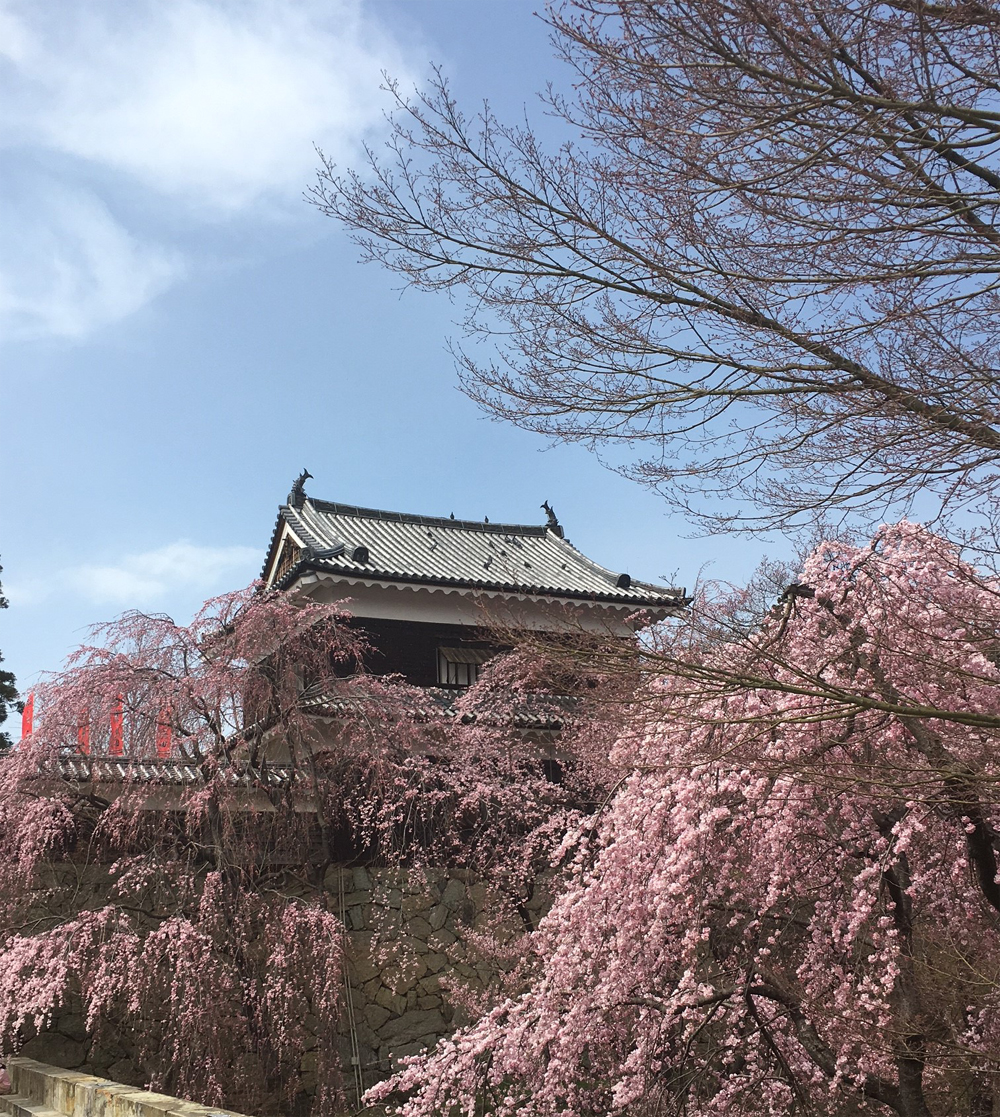 散策レポート】話題のNHK大河ドラマ「真田丸」と上田城千本桜 | VAX Sports&Life | スポーツ&ライフの情報を発信するWebマガジン