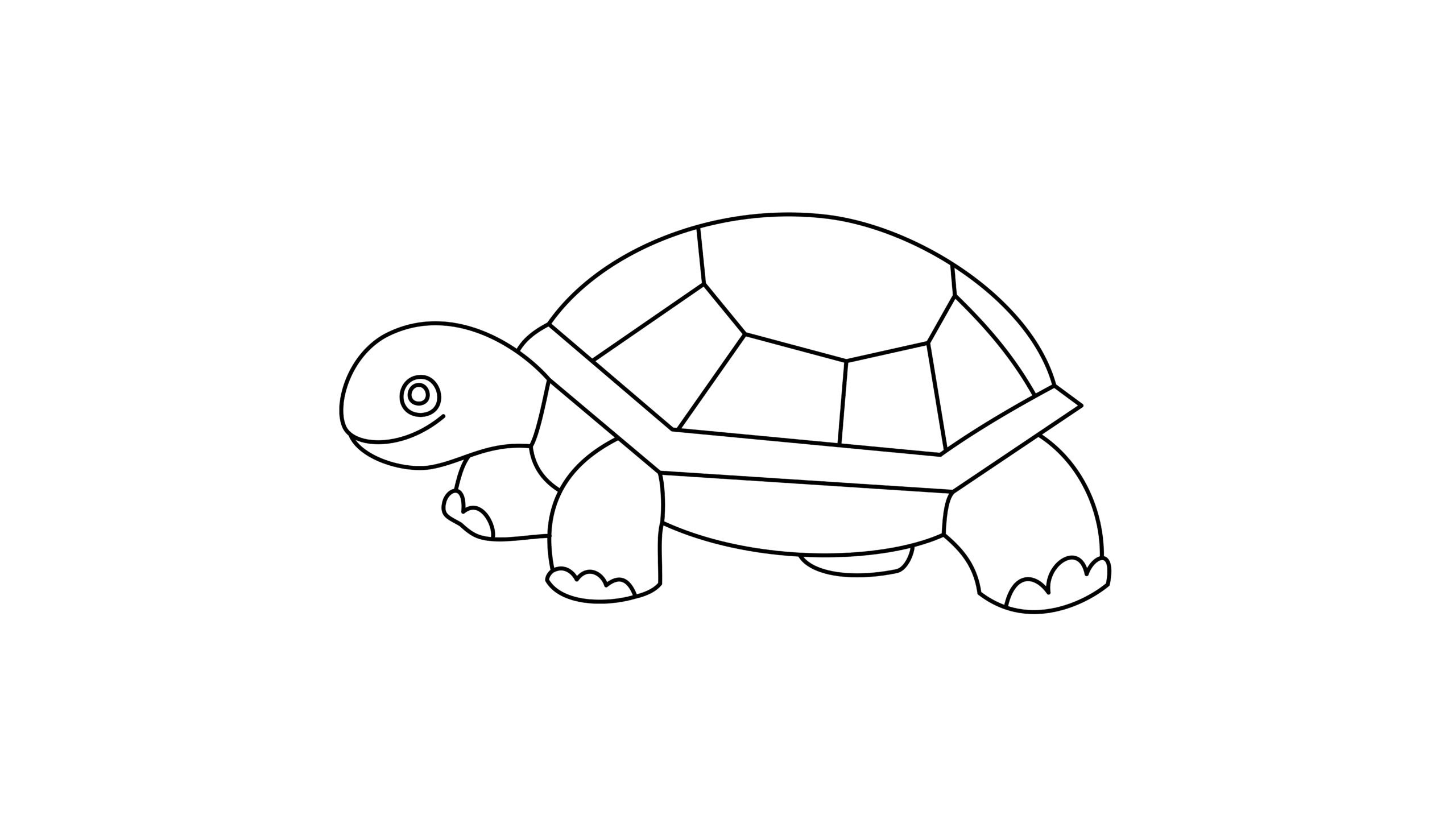 How To Draw A Turtle Tutorial For Kids - Verbnow 1440_X_2560_jpg