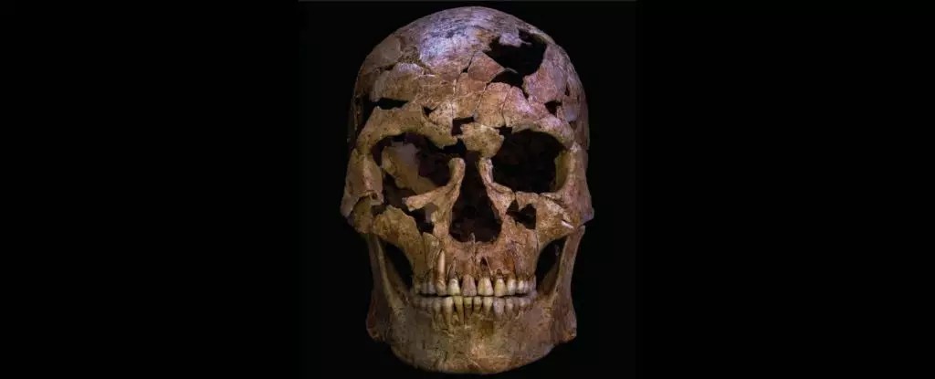 The Shocking Reality of Humanity’s Violent Origins: An Ancient Crime Scene Uncovered