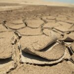 Cicatrizes da seca recorde no coração dos amazonenses