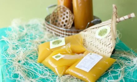 Após polêmica, COP30 vai permitir pratos paraenses como açaí e tucupi