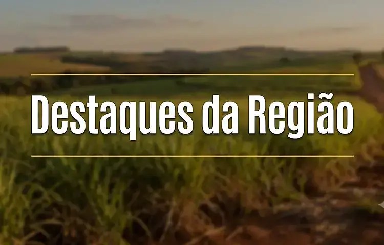 destaques regiao