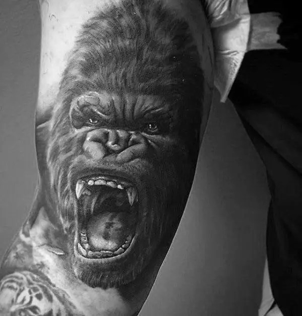 Gorilla Tattoo: Zvinoreva, Mapikicha Makumi Maviri Neshanu Uye Akanakisa Masiketi 627_x_599_jpg