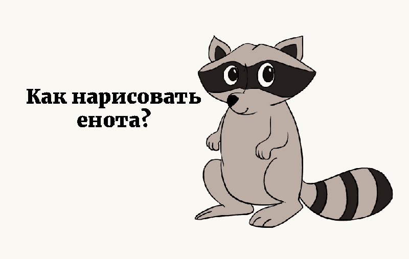 как нарисовать енота карандашом поэтапно для начинающих