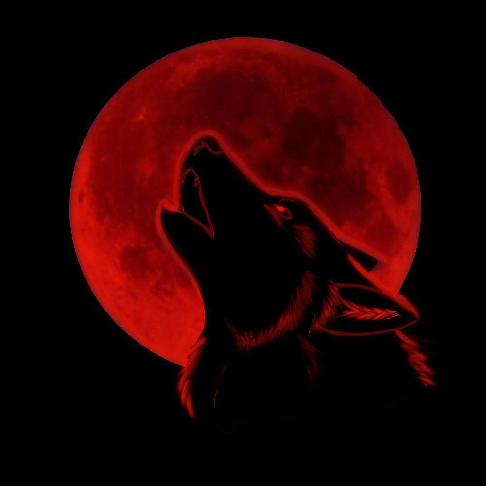 Red Moon Wolf Wallpapers - Top Free Red Moon Wolf Backgrounds - Wallpaperaccess 1000_x_1000_jpg