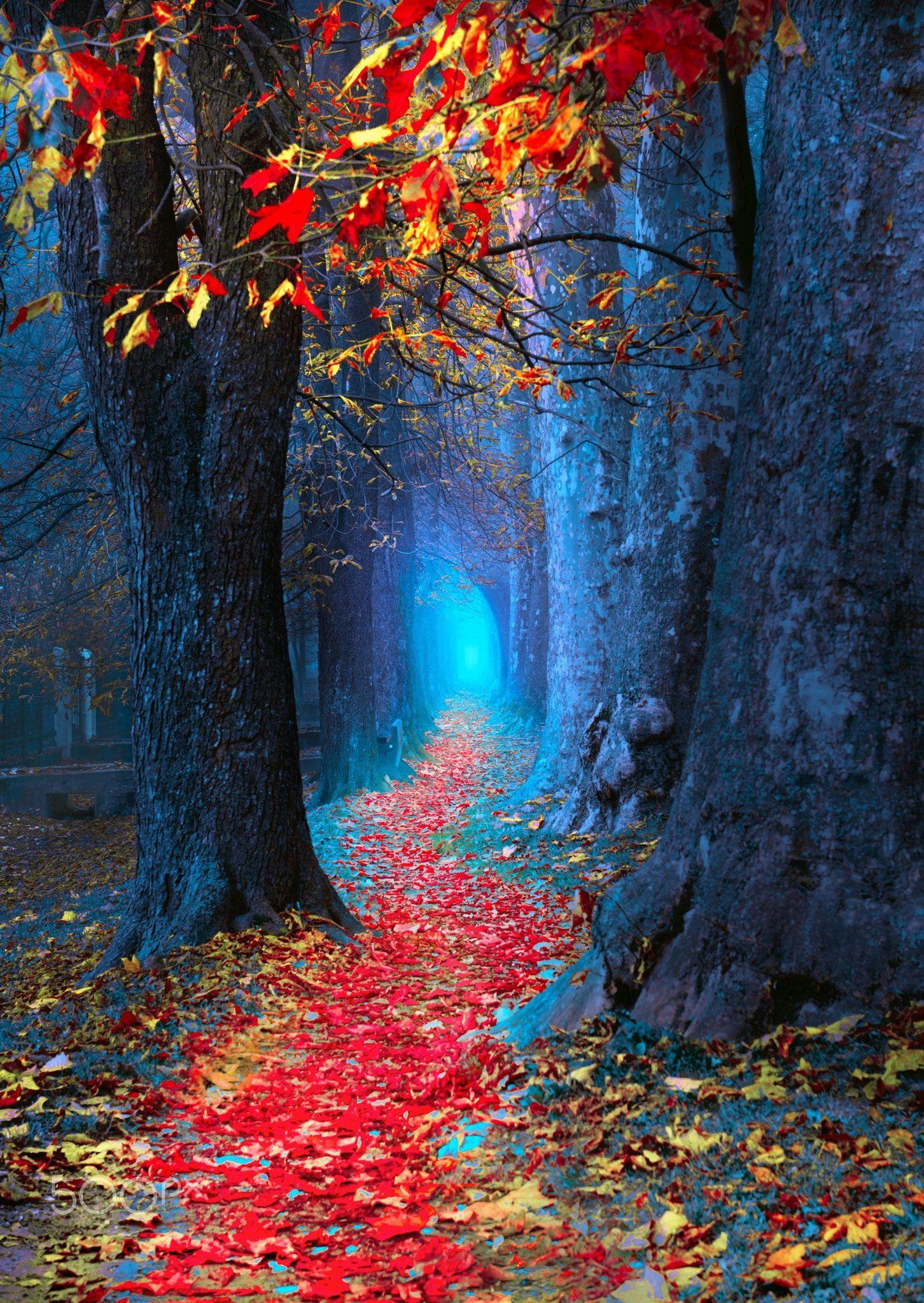 Beautiful Nature Photography Wallpapers Top Free Beautiful Nature Photography Backgrounds Wallpaperaccess