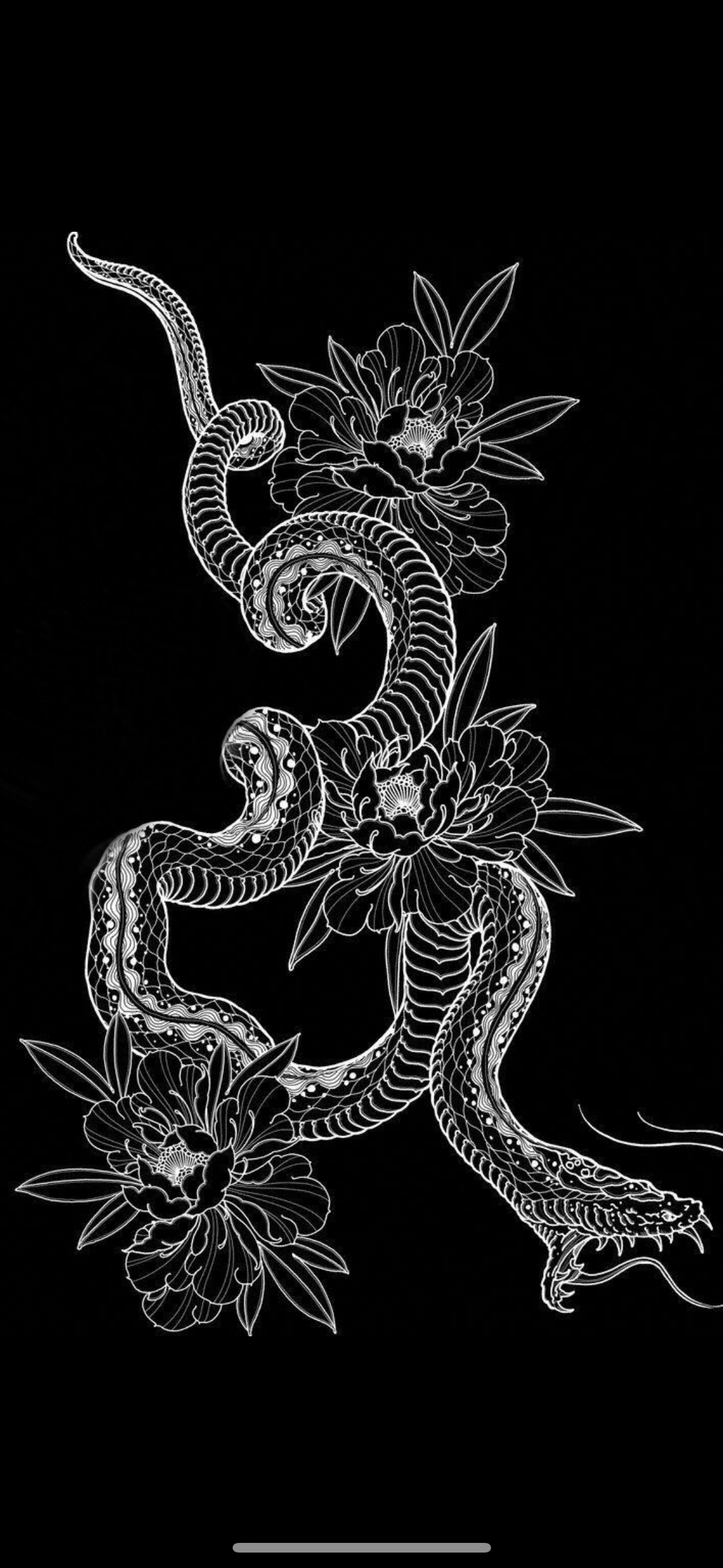 Japanese Snake Wallpapers - Top Free Japanese Snake Backgrounds - Wallpaperaccess 2436_x_1125_png