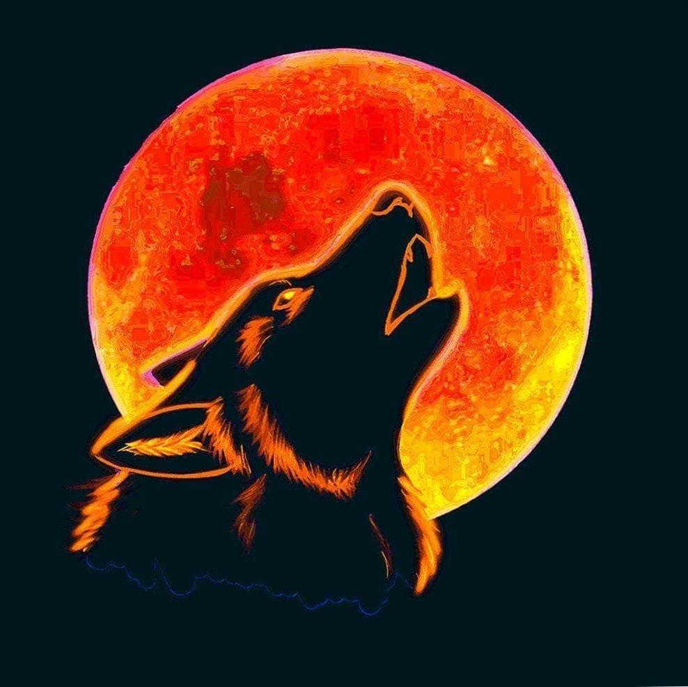 Red Moon Wolf Wallpapers - Top Free Red Moon Wolf Backgrounds - Wallpaperaccess 987_x_988_jpg