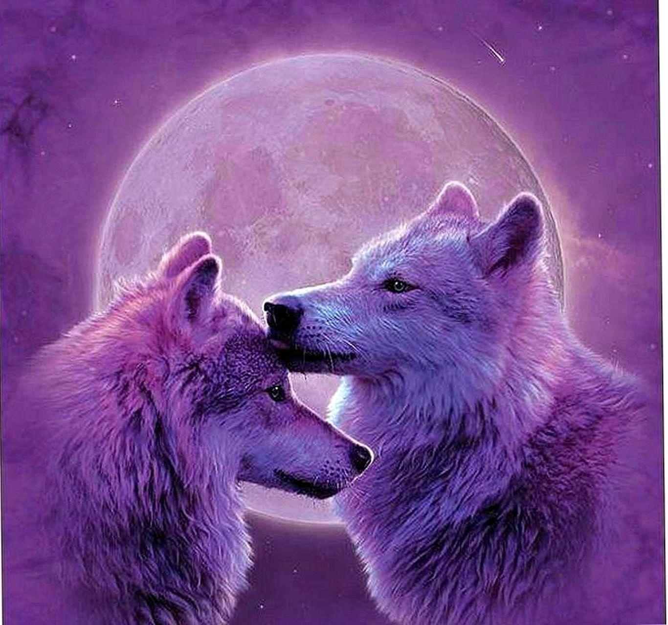 Wolf love