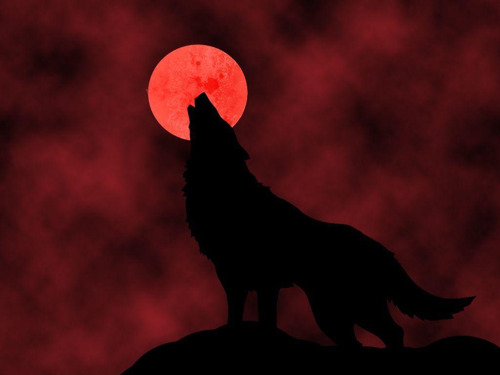 Anime Black And Red Wolf Wallpapers - Top Free Anime Black And Red Wolf Backgrounds - Wallpaperaccess 768_x_1024_jpg