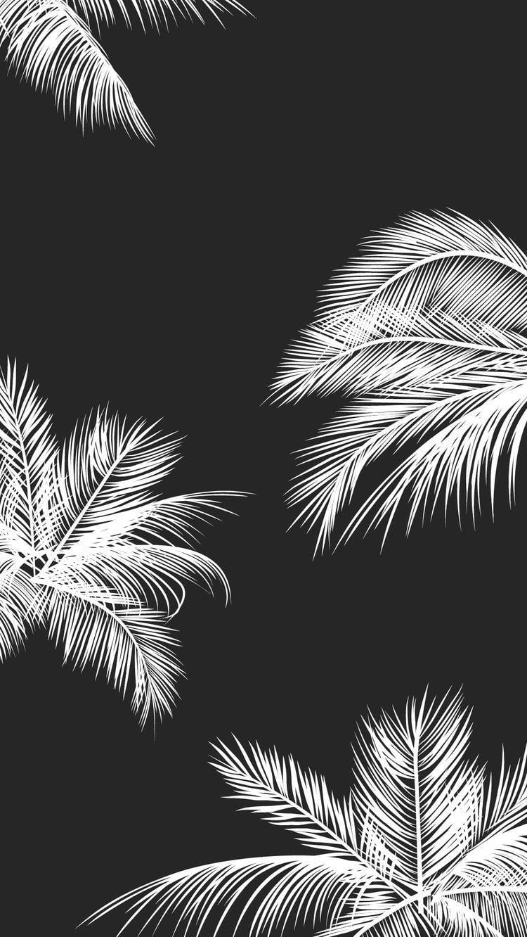 Pinterest Black And White Wallpapers - Top Free Pinterest Black And White Backgrounds - Wallpaperaccess 1332_X_750_jpg